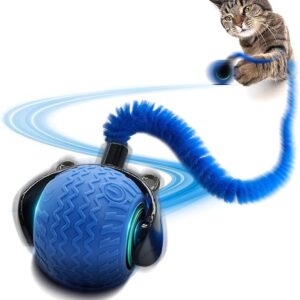 Speedy Cat Tail