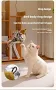 Rechargeable Flapping Bird Toy